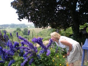 Summer 2008, Fresh Food and Flowers